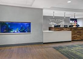 Hampton Inn Westfield 2
