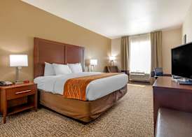 Comfort Inn Near UNT 5