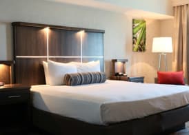 Avi Resort & Casino 3