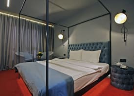 Vitosha Park Hotel - Free Pool & Gym 4