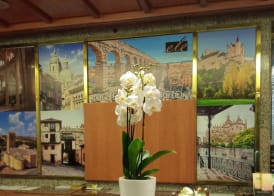 Hotel ELE Acueducto 5