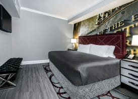 Hotel Indigo DALLAS DOWNTOWN by IHG 5