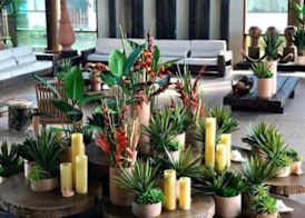 Samoa Beach Resort 5