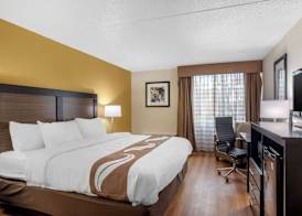 Quality Inn & Suites Ruther Glen 4