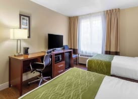Comfort Inn St Petersburg North 4