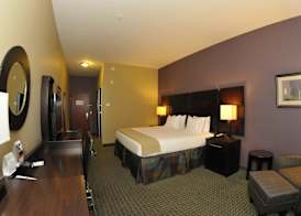Holiday Inn Express & Suites BATON ROUGE NORTH by IHG 4