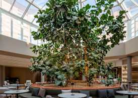 Hilton Garden Inn Bologna North 4