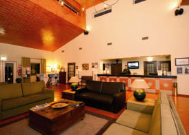 Vila Gale Alentejo Vineyard - Clube de Campo 2