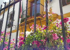 Hotel Boutique Puerta del Rincón 3