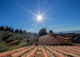 Fattoria di Cinciano 5