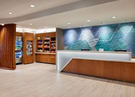 SpringHill Suites by Marriott Frederica 2