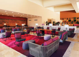 The Westin Los Cabos Resort Villas 2