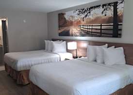 Days Inn & Suites by Wyndham Rocky Mount Golden East 5