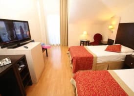 Viking Garden Hotel 3