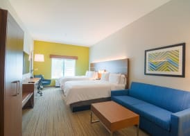 Holiday Inn Express & Suites TAMPA -USF-BUSCH GARDENS by IHG 4
