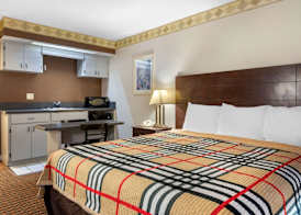 Rodeway Inn New Port Richey 5