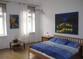 Old Vienna Apartments 3