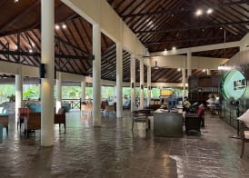 Rebak Island Resort & Marina, Langkawi 大自然 野生动物与美食爱好者的天堂 3