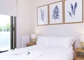 Stayo Waterloo 5