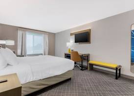 Comfort Inn & Suites 3