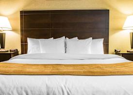 Comfort Inn Whitehall near Michigan's Adventure 3