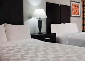 Holiday Inn CORPUS CHRISTI ARPT & CONF CTR by IHG 5