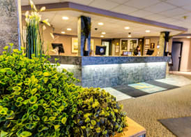 Quality Inn West Edmonton 5
