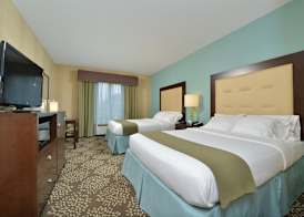 Holiday Inn Express & Suites SYLVA - WESTERN CAROLINA AREA by IHG 3