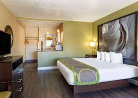 Super 8 by Wyndham NAU/Downtown Conference Center 4