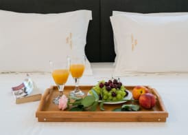 Sofia Luxury Villas 2