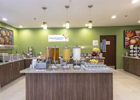 Holiday Inn Express GUADALAJARA AEROPUERTO by IHG 3