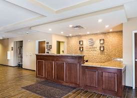 Comfort Inn & Suites Zachary 3