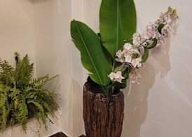 Pelourinho Boutique Hotel - OH HOTÉIS 2