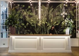 Ofelias Hotel 4Sup 3