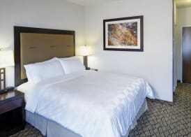 Holiday Inn WEST YELLOWSTONE by IHG 3