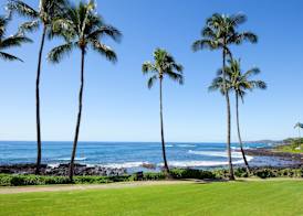 Sheraton Kauai Resort 4