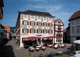 Hotel Karpfen 2