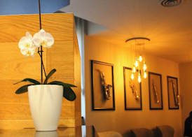 Best Western Mirage Hotel Fiera 5