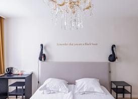 The Black Swan Hotel 5