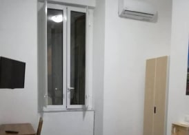 Domus 19 5