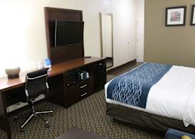 Comfort Inn & Suites Near Six Flags & Medical Center 4