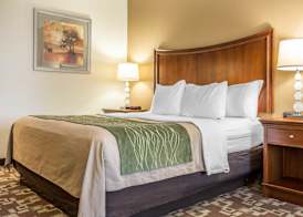 Comfort Inn & Suites Orangeburg 4
