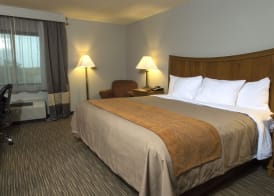 Comfort Inn South - Springfield 5