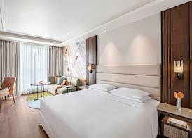 Hyatt Centric Rajpur Road Dehradun 5