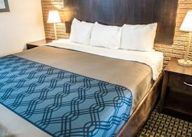 Rodeway Inn & Suites Wilmington North 5