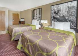 Super 8 by Wyndham Hebron Lowell Area 4