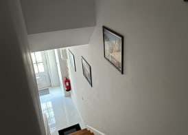 Owls Hostel Ribeiro 3