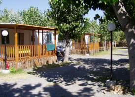 Villaggio Camping Orchidea 2
