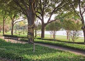 DoubleTree by Hilton Dallas - Farmers Branch 2