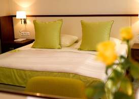 Seehotel Rust 5